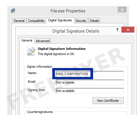 Screenshot of the VNG CORPORATION certificate